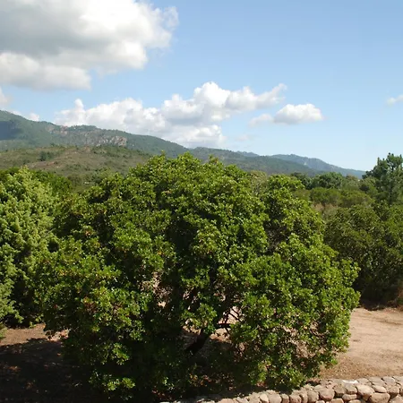 بيت للعطل Porto Vecchio - Riviera- *