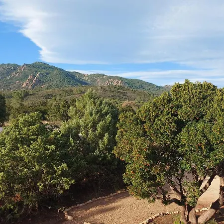 Porto Vecchio - Riviera- *