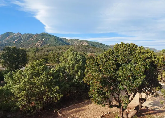Porto-vecchio Résidence Riviera Avec Piscine Classée 3 étoiles *