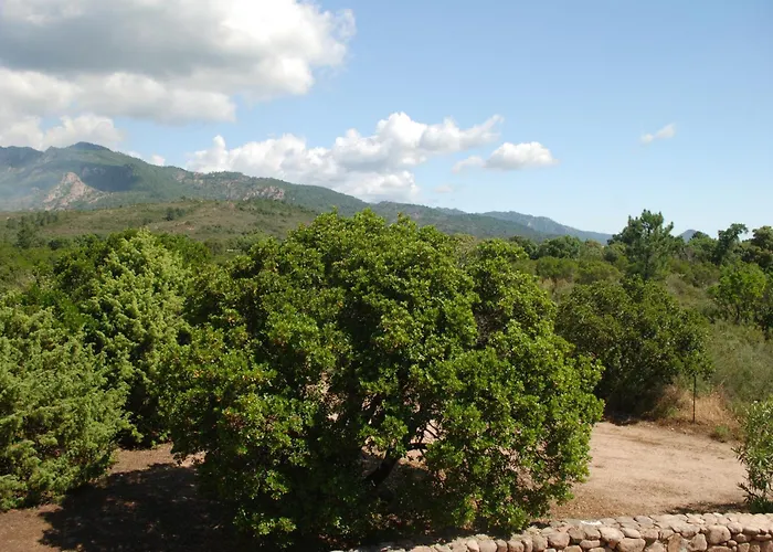 Holiday home Porto Vecchio - Riviera- *
