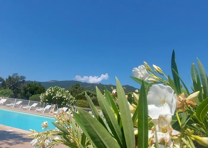 Porto-vecchio Résidence Riviera Avec Piscine Classée 3 étoiles
