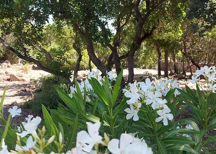 Holiday home Porto Vecchio - Riviera- Lecci